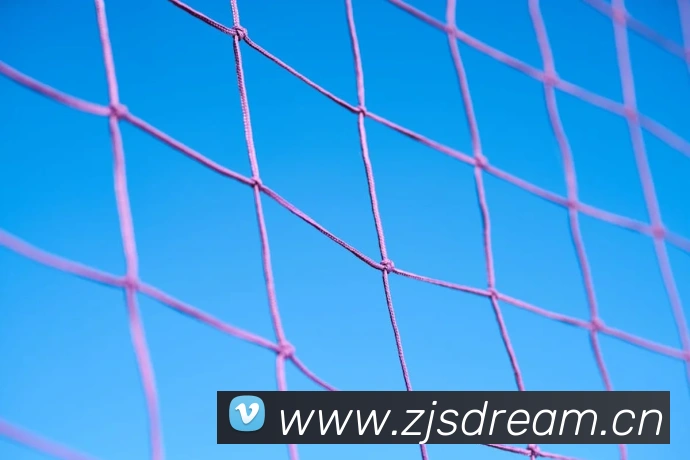 爱游戏网站主页入口平台生态图